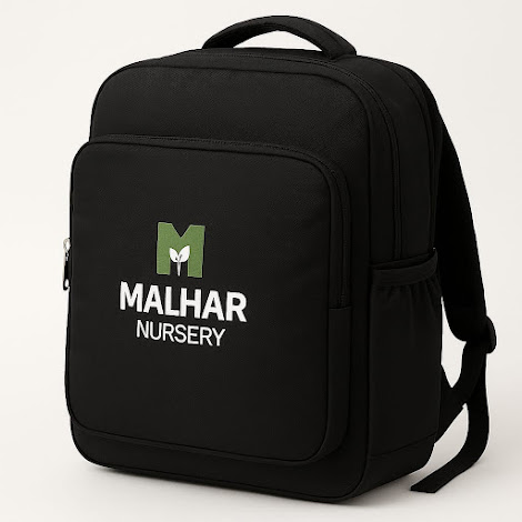 Laptop Bag 1