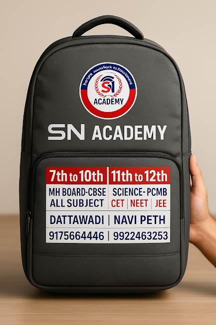 Laptop Bag 1