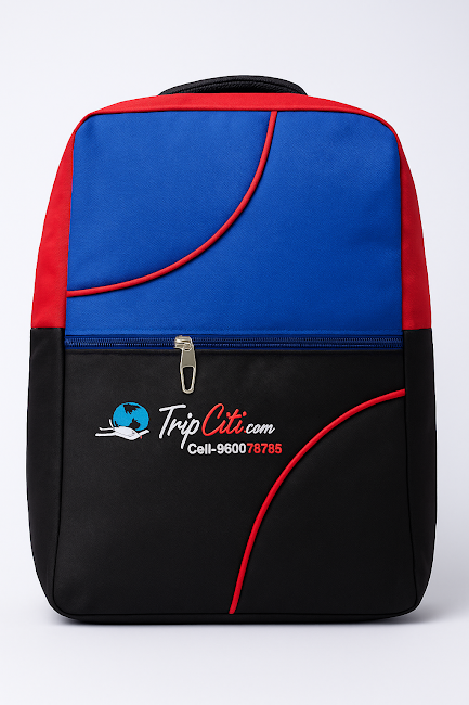 Laptop Bag 1