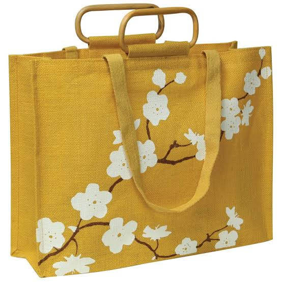 Laptop Bag 1