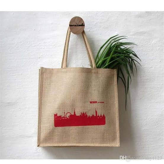 Laptop Bag 1